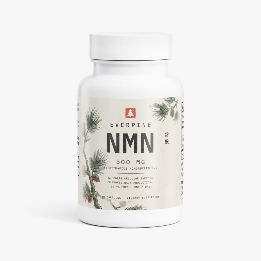Everpine Steady All-Day Energy